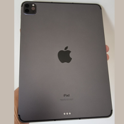 Apple iPad Pro 11-inch 256GB Wi-Fi + Cellular 3rd Gen with Case